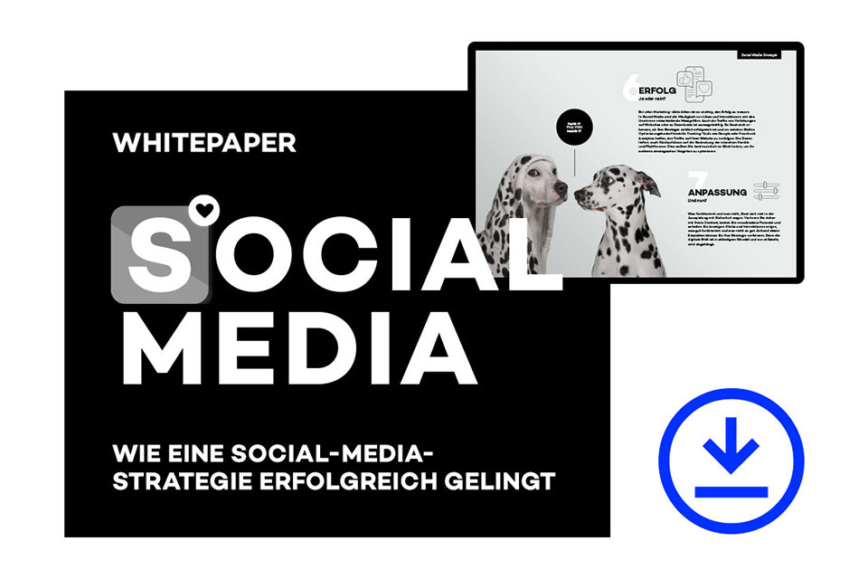 Grafische Collage zum Whitepaper Social-Media-Strategie